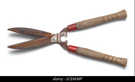 Cisailles à haies rouillées isolées sur fond blanc. Banque D'Images