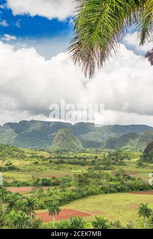 La vallée de Vinales à Cuba, célèbre pour sa beauté naturelle et la qualité du tabac cultivé dans la région Banque D'Images