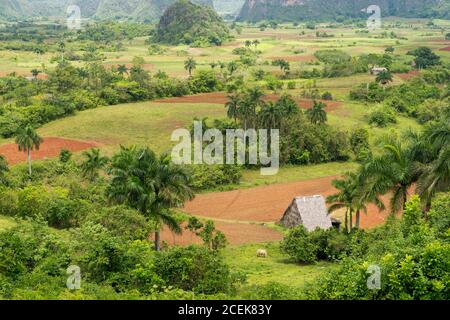 Vue aérienne de la vallée de Vinales à Cuba, un monument touristique connu dans le monde entier pour sa beauté et la qualité de son tabac Banque D'Images