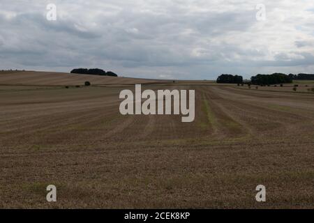 Site de la bataille de Roundway Hill, Devozes, Wiltshire, Royaume-Uni. Une des batailles de la première guerre civile anglaise en 1643 Banque D'Images