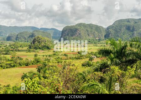 La vallée de Vinales à Cuba, célèbre pour sa beauté naturelle et la qualité du tabac cultivé dans la région Banque D'Images