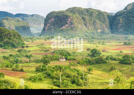 Vue sur la vallée de Vinales à Cuba au début matin avec des nuages et de la brume flottant parmi les montagnes Banque D'Images