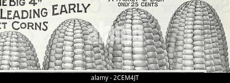 . Le livre de semences Maule pour 1922. 207 GOLDEN BANTAM 42 WM. HENRY MAULE, Inc., PHILADELPHIE, PA., 1922 THE Big 4 --r»,x,^HE DIRIGEANT LES CORNES SUCRÉES UN PAQUET DE EACHONLY 25 CENTS. Banque D'Images