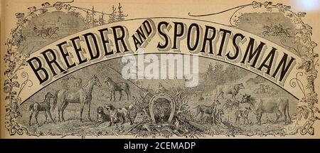 . Éleveur et sportif. Et h. Vol. VI N° 19.N° 50* MOSTGOMBKY STfiEET. SAN FRANCISCO, LE SAMEDI 9 MAI 1885. Horse Talk de Sacramento. : Editor Breeder et Sportsman : nous sommes favorisés par le temps de-lumière, qui tous intéressés à manipuler des fers à cheval en profitant et les façonnant pour nos Springraces, à partir du 26 mai. Sacramento a été parlé comme possédant le meilleur climat pour travailler des fers à cheval de n'importe quel dans l'État, et depuis la rénovation de notre piste, et de revêtement de sa surface avec de l'argile, ce qui le rend non seulement un des plus sûrs mais plus rapide dans le pays, beaucoup de chevaux a Banque D'Images