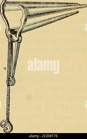 . Lehrbuch der Frauenkrankheiten. liebe für Gänsefettaehgbt zu haben, als die ungebildete Volksklasse BEI uns. 6 Historische Uebersicht der utérus-pathologie. Die Gelehrsamkeit der Araber nun wurde ebenso, wie die derganzen übrigen Welt, allmälig in die Unwissenheit und den Aber-glauben desjenigen .Zeitabschnitt hineingezogen, welchen man mitdem Ausdruck „dunkles Zeitbealter zeichete. Während jener Zeitwurden viele ihrer Schriften gleich denen der römischen und griechi-schen Schulen vernichtet oder verloren; aber nachdem die Menschheitaus der Dunkelheit, welche ihren Geist gebannt hielt, wie Banque D'Images