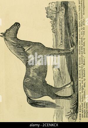 . Annexe aux Journaux du Sénat et l'Assemblée générale de la ... session de l'Assemblée législative de l'État de Californie. Banque D'Images