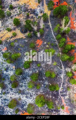 Gant, Hongrie - vue aérienne de drone horizontal de la mine de bauxite abandonnée avec des arbres de grentine au coucher du soleil. Texture bauxite rouge Banque D'Images
