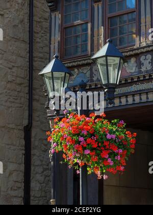 Morgenstimmung am blumengeschmückten historischen Marktplatz, Hildesheim, Niedersachsen, Deutschland, Europa matin sur la place historique du marché adorne Banque D'Images