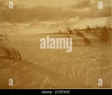 . Une légende des dunes de sable, Cape Henry, Virginie. FÉV 27 BIBLIOTHÈQUE DE CONGRESS0 015 939 100 0 ^ Banque D'Images