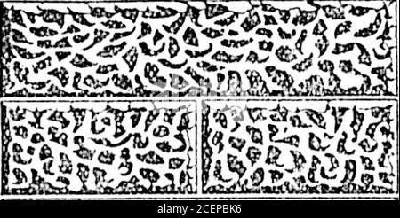 . Daily Colonist (1900-02-10). TRong et progressive CanadianLife Insurance Company UN GESTIONNAIRE ior la province de BrlllBh Colum-bia; la nomination sera directe de la compagnie, et le termsrémunérateur. Appliquer par lettre confide-tial, donnant l'âge, les références, l'expertise dans l'entreprise, le cas échéant; howlong, avec quelles entreprises, et où. Adresse B.C. Managership, Bureau de poste, Winnipeg. The Victoria Wharf & Warehouse Co, -LIUITSTD.- 6 %, DÉBENTURES, SECONP TIRAGE ANNUEL Voici le nombre de débentures tirées pour remboursement au pair onand après le dernier jour de mars. Po- Banque D'Images