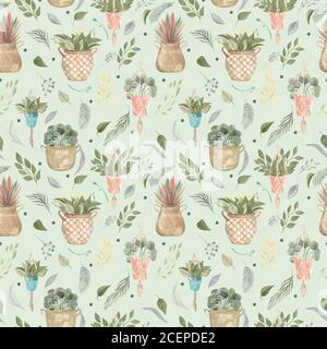 Motif sans couture de plantes de boho et de fleurs intérieures dans des paniers et des pots suspendus. Aquarelle illustration décor moderne maison sur fond vert Banque D'Images