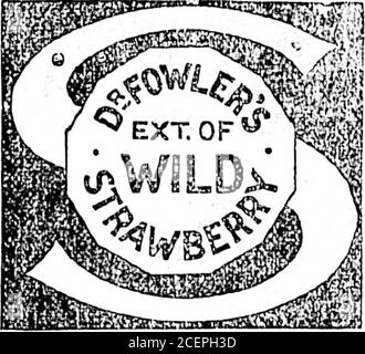 . Daily Colonist (1897-09-15). Et d'exploiter toutes sortes ol ]plante fertile pour fournir de la lumière, de la chaleur, de l'électricité ou toute sorte de puissance motrice; et avec le pouvoir d'exproprier des terres pour les usines de pur de la compagnie; Et d'acquérir des terres, des primes, des privilèges ou d'autres aides auprès de tout gouvernement, municipalité ou autre personne ou société de jbodies; et de prendre des arrangements de tralllc ou d'autres arrangements avec les chemins de fer Btea dans les bbom ou othercom panics; Et avec le pouvoir de construire des wagonRoads à il a utilisé dans la construction de couvercle de suchRailway à l'avance de la même, et de lévoet de recueillir des péages de toutes les parties utilisant Banque D'Images