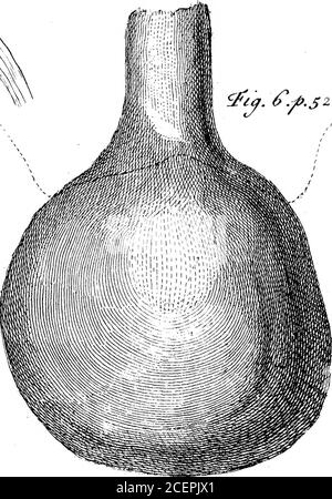 . Un compte du Morbus Strangulatorius, communiqué dans une lettre de John Starr, M. D. à C. Mortimer, M. D. Secret. R. S. et c.. &j. fysxo.. Banque D'Images