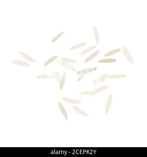 Grains de riz isolés sur fond blanc. Vue de dessus. Vecteur Illustration de Vecteur