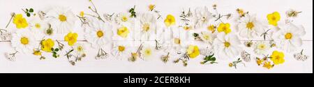 Blanc Cosmos fleurs festive mariage romantique fond. Flat lay, vue de dessus. Banque D'Images