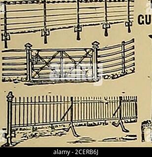 . La vie animale et le monde de la nature; UN magazine d'histoire naturelle. LADS. Illustré par Reginald Savage. LE LIVRE D'ESQUISSE. Par Washington Ieving. Illustré par Edmund J. Sullivan. 2 VOLs.toile limp, 2 s. 6d, filet; lambskin, filet de 3 s; parchemin, en boîte, 3 s. 6d. net. NOS VOISINS SÉRIE. NOUVEAU VOLUME.VIE ESPAGNOLE EN VILLE ET PAYS. Par L. Higgin. 3s. M. net. NEWNES ÉDITION PAPIER FIN. NOUVEAUX VOLUMES.LES OEUVRES POÉTIQUES DE PERCY BYSHE SHELLEY.LES OEUVRES DE FRANCIS BACON. Tissu, filet de 3 s ; peau de mouton, 3 s. 6d. net. CERTAINS AVIS DE PRESSE. La traduction Motteuxs de Don Quichotte a été ajoutée à MM. Newnes ele Banque D'Images