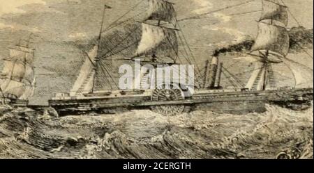 . Annuaire de la Nouvelle-Orléans de Gardner pour 1861 : incluant Jefferson City, Gretna, Carrollton, Alger et McDonogh : Avec une nouvelle carte de la ville, un guide de rue et de lévee, un annuaire d'affaires, une annexe de beaucoup d'informations utiles, et un répertoire de planteurs contenant les noms des planteurs de coton et de sucre de la Louisiane, du Mississippi, de l'Arkansas et du Texas : Un résumé de l'histoire commerciale de la Nouvelle-Orléans, a continué Banque D'Images