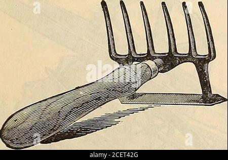 . WM. Elliott & Sons : 1893. HoldsThree-quart bushel oftiges 3.75 LE PIÈGE AMÉLIORÉ ISBELLMOLE. Il est reconnu par tous ceux qui haveliven un procès comme le meilleur Trap everinventé pour attraper et destroyingla mole souterraine. Lorsque la propriété est définie, elle ne permet jamais à la mole de s'échapper, et aucune compétence n'est requise pour la régler. L'Isbell Mole Trapis amélioré est fait de la meilleure fonte recuite, si elle va porter pendant des années et nevershatter, comme d'autres pièges à taupes, theyétant fait de fonte courante bon marché. Nous n'avons pas l'espace, pas plus qu'il n'est nécessaire, pour imprimer les centaines de témoignages que nous avons rec Banque D'Images