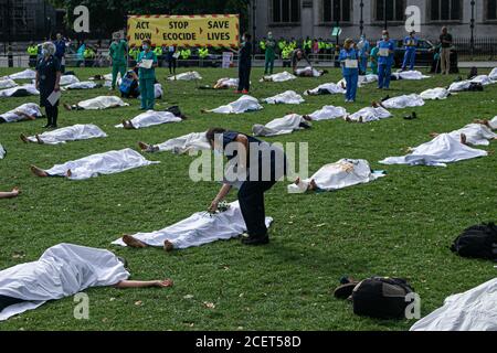 WESTMINSTER LONDRES, Royaume-Uni - 2 septembre 2020 une rébellion des médecins pour l'extinction se trouve à côté de cadavres qui se trouvent morts sous un carénage blanc sur la place du Parlement. Extinction la rébellion s’est engagée à poursuivre les manifestations pendant 12 jours à Londres en raison de l’incapacité du gouvernement à agir en cas d’urgence climatique et écologique, et à exiger que le gouvernement agisse maintenant et qu’il appuie le projet de loi sur l’urgence climatique et écologique. Credit: amer ghazzal / Alamy Live News Banque D'Images