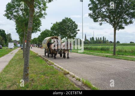 Doel, Belgique, 11 août 2019, Man conduit un cheval et une voiturette dans la rue Banque D'Images