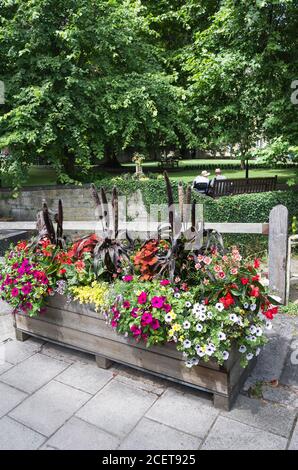 Un jardinière de fleurs urbaines contenant un mélange coloré de floraison Usines à Bradford sur Avon Wiltshire Angleterre Royaume-Uni Banque D'Images