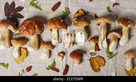 Bannière Web champignons blancs. Motif d'automne sur fond de tissu. CEP ou penny et feuilles sèches. Vue de dessus Banque D'Images