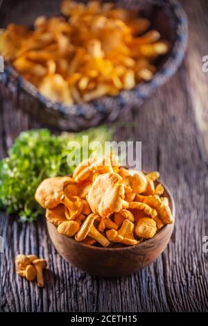 Chanterelles crues champignons dans un bol en bois avec des herbes de persil Banque D'Images