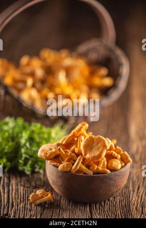 Chanterelles crues champignons dans un bol en bois avec des herbes de persil Banque D'Images