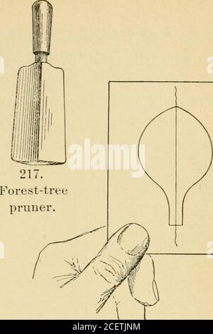 . L'élagage-livre; une monographie de l'élagage et de la formation des plantes selon les conditions américaines. 21G cisailles maison 218. Dendroscope. Banque D'Images