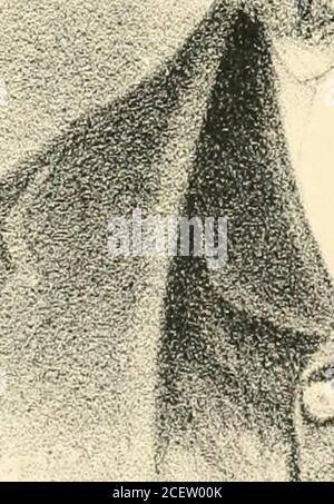 . Histoire du comté de Pike, Illinois; avec des croquis de ses villes, villages et cantons, histoire éducative, religieuse, civile, militaire et politique; portraits de personnalités éminentes et biographies de citoyens représentatifs. Histoire de l'Illinois ... Résumé des lois de l'État ... Banque D'Images