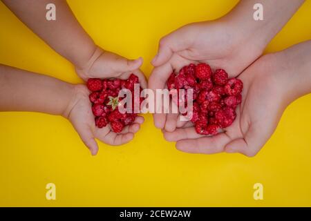 Enfants tenant les framboises rouges dans les mains, concept de vitamines Banque D'Images