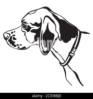 Portrait décoratif de l'illustration vectorielle de joli chien pointeur en noir isolé sur fond blanc. Image isolée pour la conception et le tatouage. Illustration de Vecteur