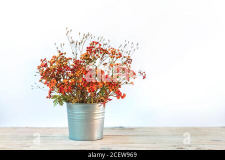 Bouquet de fleurs tansy sur la table, fond blanc, concept d'automne. Banque D'Images