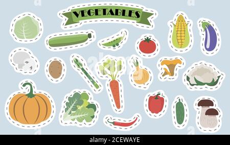 Ensemble de champignons et de légumes à vecteur plat. Autocollants lumineux avec l'image de jolis légumes d'été dans le style de dessin animé. Un ensemble de produits alimentaires sains isolés. Illustrations pour une épicerie, une bannière, un jardin, un restaurant ou un menu. Illustration de Vecteur