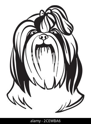 Portrait décoratif de l'illustration vectorielle de chien Shih Tzu mignon en noir isolé sur fond blanc. Image isolée pour la conception et le tatouage Illustration de Vecteur