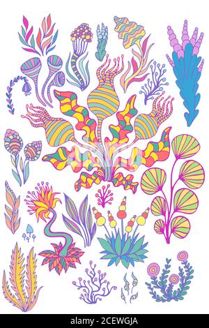 Grand ensemble lumineux abstrait fantastique plantes extraterrestres surréalistes, fleurs, champignons, isolé sur fond blanc. Soutien-gorge et feuilles fleuris style Doodle FANTASY Illustration de Vecteur