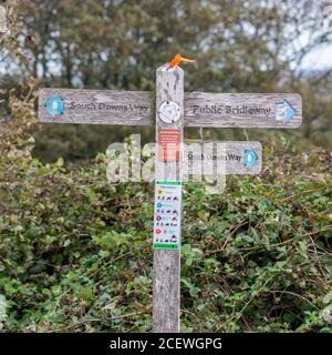 Panneau de direction sur le sentier longue distance South Downs Way à travers West Sussex, Royaume-Uni Banque D'Images