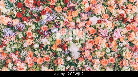 Magnifique fond de mur fleuri avec rose frais et bouquet de fleurs. Bannière de décoration de mariage vintage. Mariage pastel en baroque f Banque D'Images