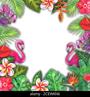 Résumé été aquarelle paradis tropical. Papier à la main de plantes tropicales colorées, flamants roses sur fond blanc pour bannière, invitation, poste Banque D'Images