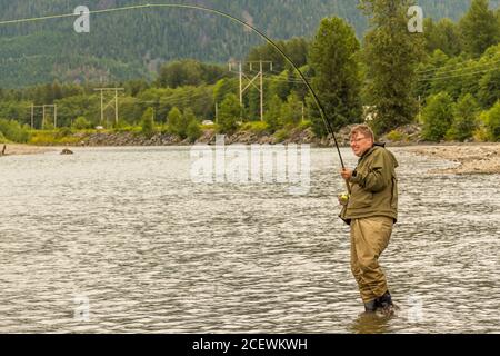 Un pêcheur de mouche accroché à un saumon sur la rivière Kitimat, en Colombie-Britannique, au Canada Banque D'Images