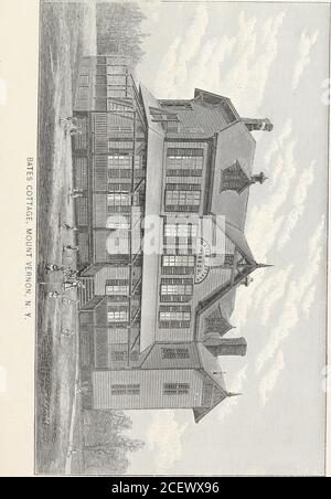 . New York Infant Asylum Annual Report. RAPPORT ANNUEL Comité sur l'adoption de l'asile infantile de New York, POUR L'ANNÉE SE TERMINANT DEC. 31, 1886. New Yoek, 18 janvier 1887. A la BOAKD DES DIRECTEURS DE la N, Y. Infant Asylum: Messieurs: La commission de l'adoption mendier leaveto rapport, que durant l'année se terminant le 31 décembre dernier, ils ont adopté seize (16) enfants. Le nombre est inférieur à celui de 1885, mais c'est-à-dire, en raison de la plus grande attention prise par le Comité dans l'investigation des demandes pour enfants. Le Comité a été informé du décès de deux enfants l'année dernière. Respectueusement Banque D'Images