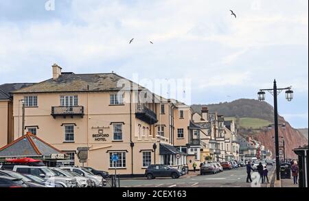 L'hôtel Beford se trouve sur le front de mer de la ville côtière de Sidmouth, dans le Devonshire. Célèbre pour son festival folklorique et la côte jurasique, toujours attirant vis Banque D'Images