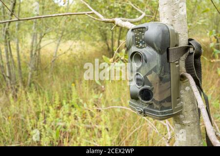 Caméra de randonnée ou piège de caméra installé dans un arbre pour surveiller et photographier la faune d'une zone humide, au Royaume-Uni Banque D'Images