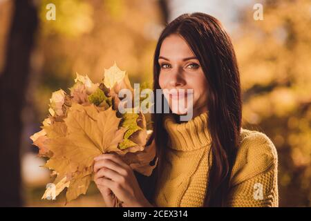 Photo de jolie fille touriste ont automne forêt sauvage grove boyfriend date rest look bon dans la prise de vue de l'appareil-photo recueillir pull avec feuilles d'érable jaune Banque D'Images