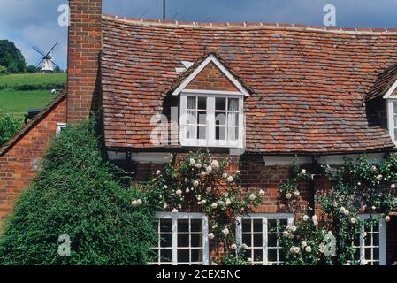 Cottage avec moulin à vent de Cobstone en arrière-plan. Buckinghamshire, Chilterns, Angleterre, Royaume-Uni Banque D'Images