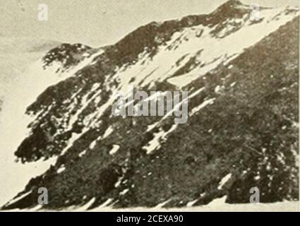 . Expédition britannique en Antarctique, 1907-9, sous le commandement de E.H. Shackleton : rapports sur les recherches scientifiques ; géologie. ^&gt;.. I. -J Fig. PETIT GLACIEREntering McMurdo Sound au sud du glacier de Turks Head, regardant au nord-est du mont Erebus [face p. 106 LE SKUARY 107 et 7ieve les pentes en terrasse d'Erebus sont dans cette région, et illustre un autre petit glacier de type norvégien descendant dans le détroit de McMurdo. Très peu de roche est visible du tout sauf à proximité de la ligne de rivage. En passant maintenant environ 2 milles plus loin au nord-ouest, on atteint le point de vue du capitaine S. Banque D'Images