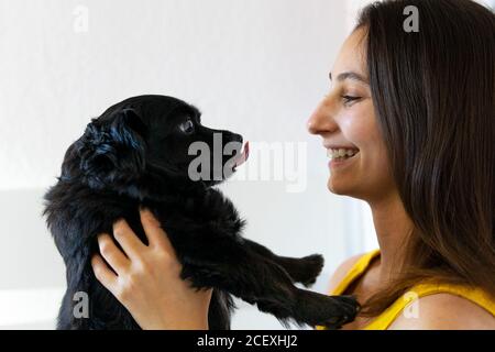 Vue latérale de la femme propriétaire souriante qui regarde le charmant noir chiot debout à la maison Banque D'Images