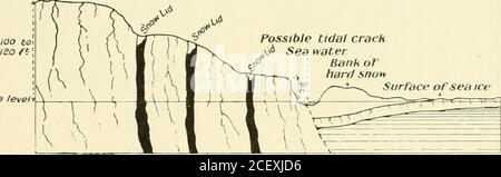 . Expédition britannique en Antarctique, 1907-9, sous le commandement de E.H. Shackleton : rapports sur les recherches scientifiques ; géologie. LA LANGUE DE LA BARRIÈRE DE GLACE DE DRYGALSKI ^entre les pp. 52 et ^S LA LANGUE DE GLACE DE DRYGALSKI 53 à la limite sud de la barrière à ce point est remplie d'eau de mer. Les couvercles en forme de vexly des crevasses, rencontrés sur son côté nord à environ 2 miles de la marge, suggèrent également que le fait de leur être en relief est Glacier Ice possible marée crach,&gt;* eau de mer. sea leven. Rive ordure neige surface de la glace de mer crevasse Creyasse crevasse (base du glacier riot sho Banque D'Images