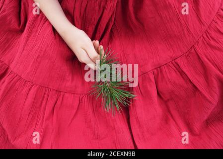 De dessus de crop anonyme fille en rouge robe d'été tenant la branche de pin vert à la main Banque D'Images