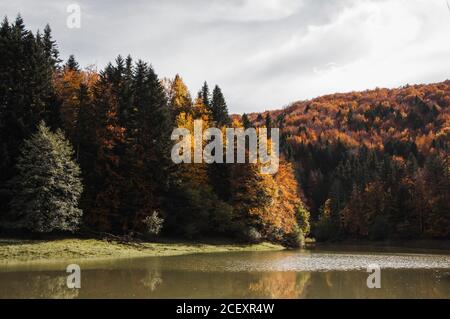 Paysage paisible de lac calme entouré d'orangers de Forêt d'Irati à Navarre Banque D'Images